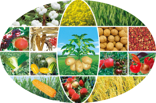 植物科学 Plant Science